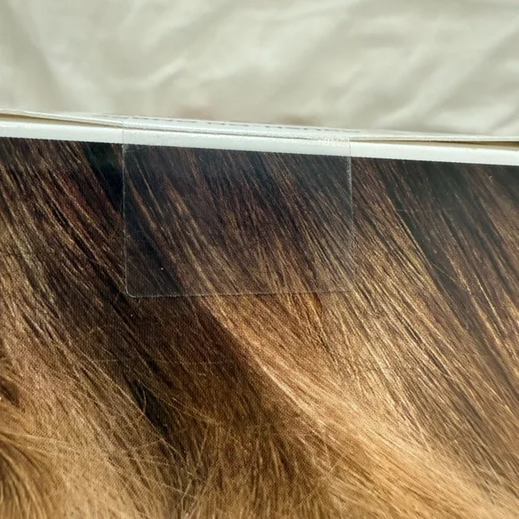 L'Oreal Colorista Bleach for Ombre Hair - Picture 8 of 8